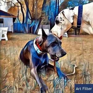 Meet your Posher, Ronnoco